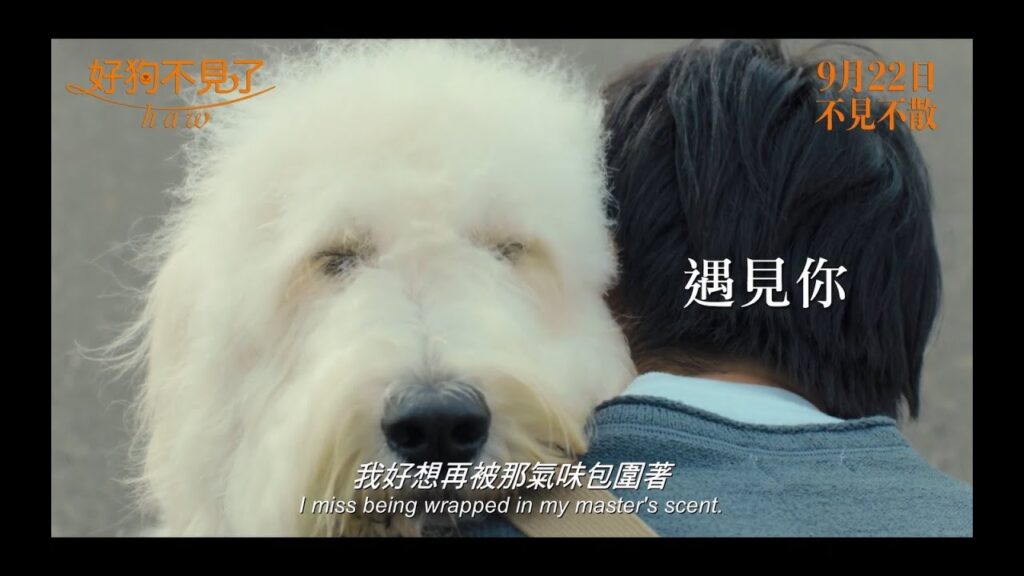 好狗不見了 香港版預告 Haw Trailer 田中圭主演