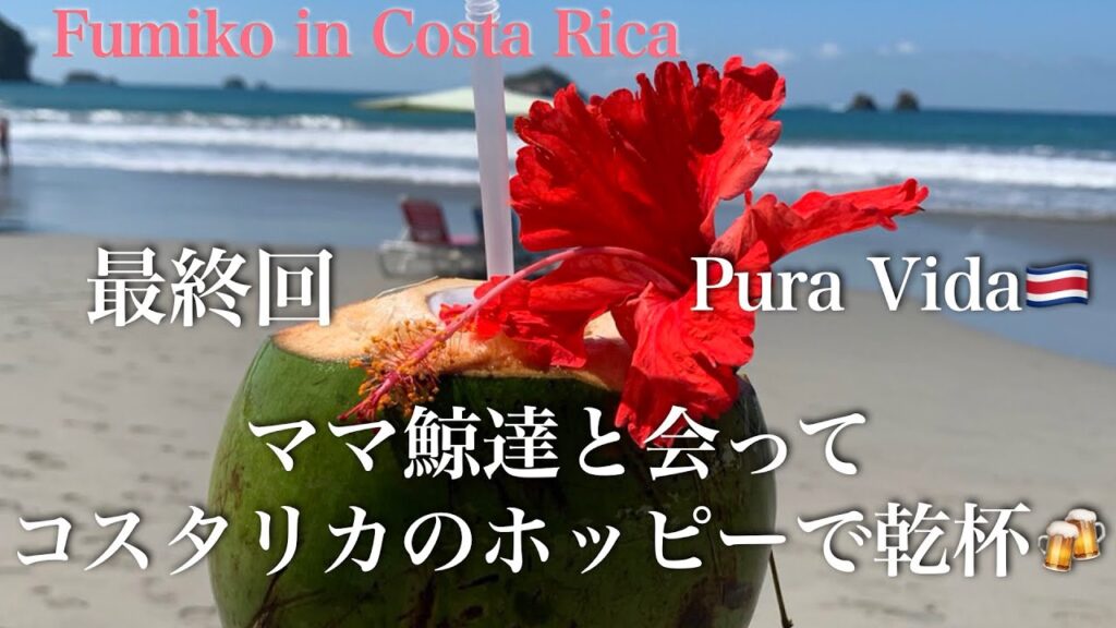 Fumiko in コスタリカ 最終回・育児中のママ鯨達と逢ってコスタリカのホッピーで乾杯！！The final episode of Fumiko in Costa Rica. PURA VIDA!