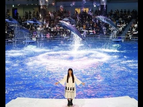 miwa、イルカと幻想的なコラボパフォーマンス。念願の飼育員にも挑戦で「夢のようです！」