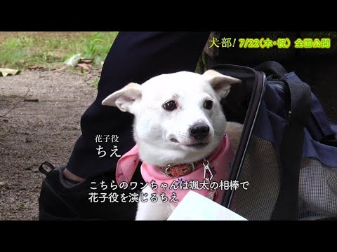 林遣都、中川大志と相棒犬の触れ合いにほっこり！映画「犬部！」メイキング映像