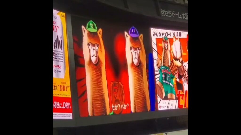 20230609　なにわ男子の藤原丈一郎が出演！日本生命ｾ･ﾊﾟ交流戦のCM　#shorts　#丈くん　ｵﾘｯｸｽ･ﾊﾞﾌｧﾛｰｽﾞ@京ｾﾗﾄﾞｰﾑ大阪･ﾚﾌﾄ外野下段