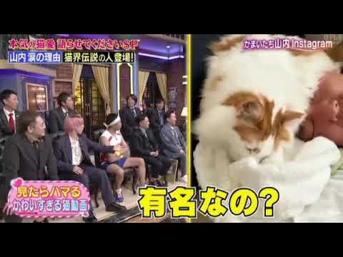 🔴生配信 しゃべくり007ネコネコ愛好会＜スノーマン佐久間＆サンシャイン池崎＆中川家・剛＆かまいたち山内＞2023年6月26日 FULL LIVE