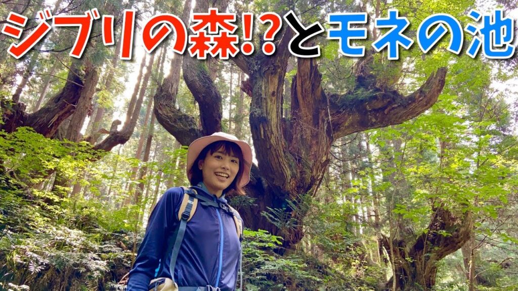 【父と初登山】ジブリの森！？蕪山とモネの池をめぐる岐阜のよくばりコース！