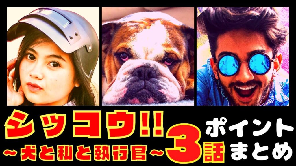 【シッコウ!!〜犬と私と執行官〜３話】超危険なシッコウ大作戦!?【ポイントまとめ】