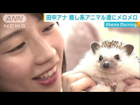 はぁ～疲れた！そんなアナタをこのコたちが癒します(19/03/14)