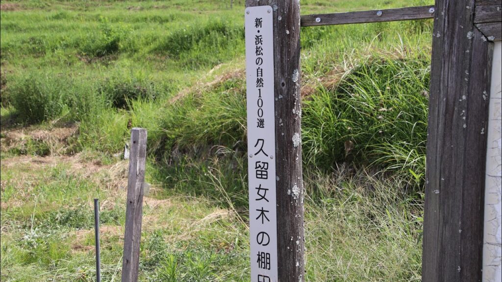 新ドローン紀行2023  静岡県浜松市北区引佐町　　　猛暑日🥵の中、女優「柴咲コウ」が田植えした棚田に行って来ましたよ🥵🥵😵‍💫