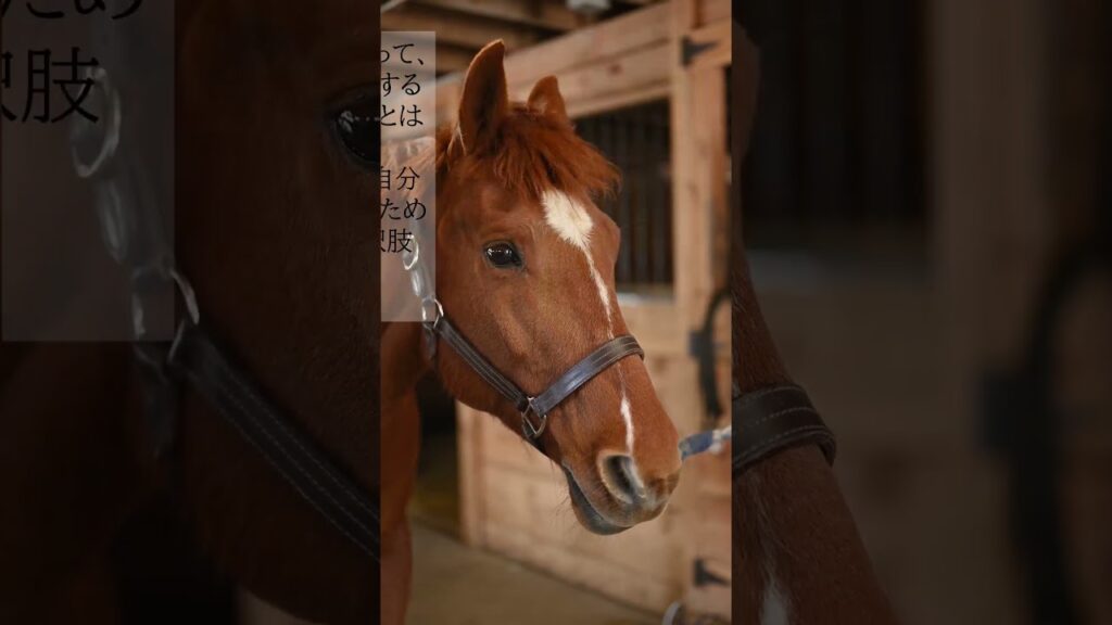 私のKOTONOHA『森田剛さんの名言』