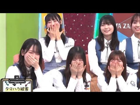 タマハラ問題がおもしろい小坂菜緒ちゃん