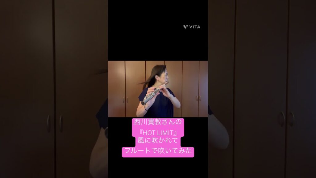 【耳コピ】西川貴教さん『HOT LIMIT』を風に吹かれてフルートで吹いてみた