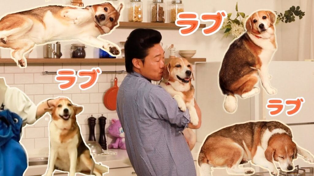みやぞんの愛犬ラブ、自由すぎる撮影現場🐶