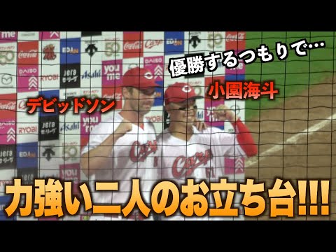 鯉の連敗と阪神の連勝を止めたデビッドソンと小園海斗のヒーローインタビュー！#広島#カープ#阪神#タイガース#ハイライト#ダイジェスト