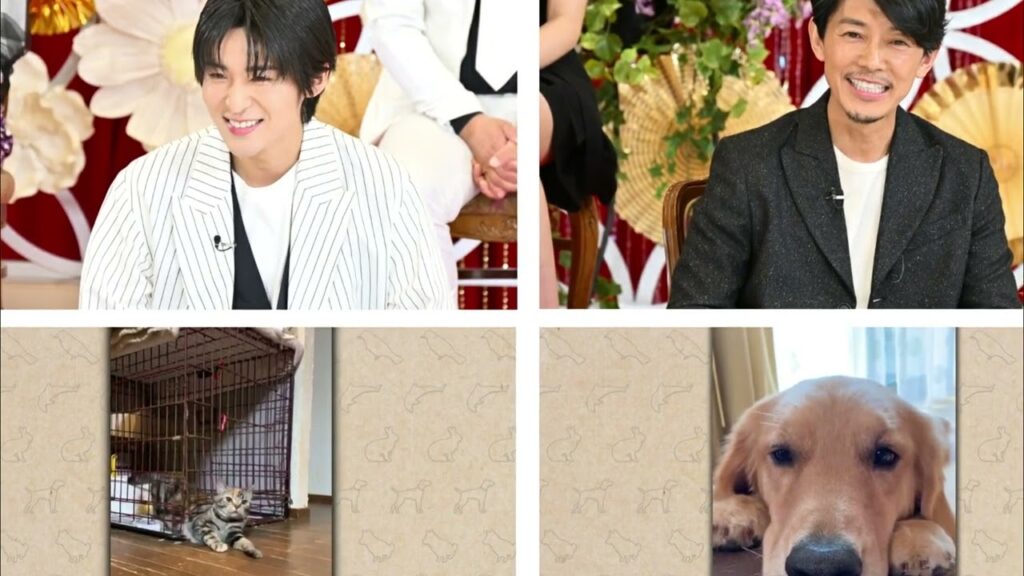 Snow Man目黒蓮、愛犬・モコちゃんを自ら撮影&秘蔵映像をテレビ初公開