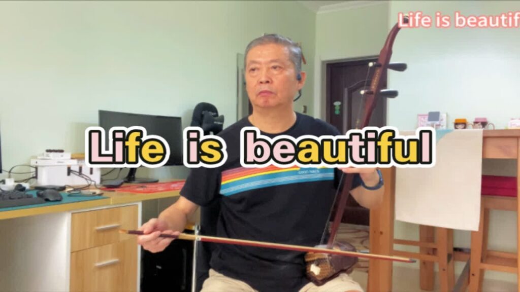 【假面骑士EX-AID剧场版】【三浦大知】片尾曲 二胡演奏 Life is beautiful