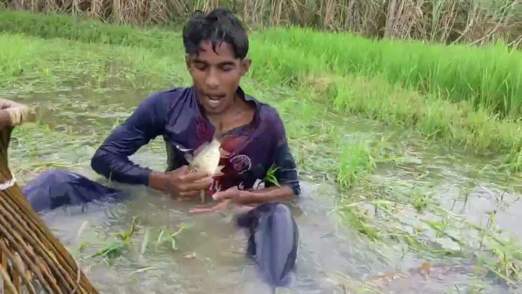 Part-45 😱|| traditional village fishing method || Wow village fishing || Village Fishing New Vlog