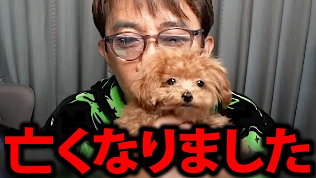 【松浦勝人】皆さんに悲しいお知らせをしなければなりません…【松浦会長  max松浦 avex 会長 とらちゃん トイプードル 犬 切り抜き】