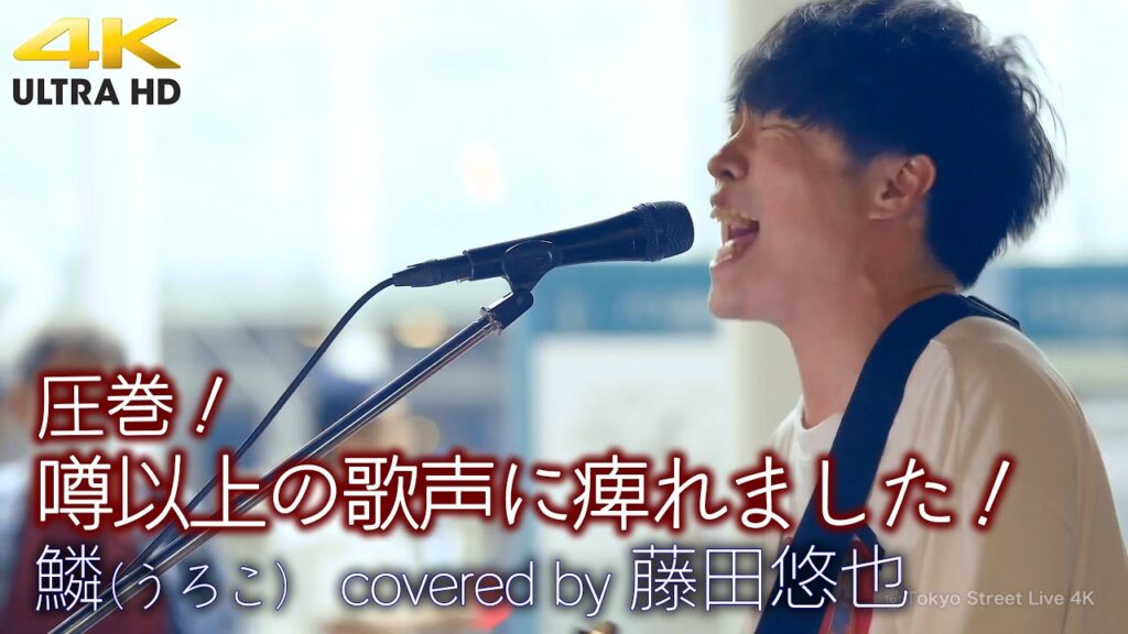 【 歌うま 】噂以上の歌声に痺れました！   鱗（うろこ）/ 秦基博（ covered by 藤田悠也 ）高音質 4K映像