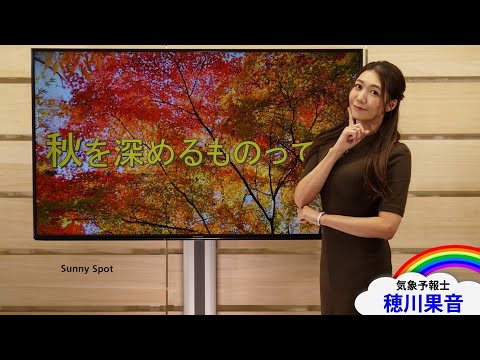 2023年10月20日秋を深めるものって?(解説:#気象予報士 #穂川果音) 2023年10月20日秋を深めるものって?(解説:#気象予報士 #穂川果音)