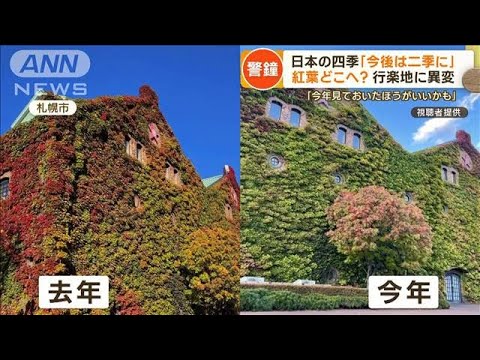 紅葉どこへ？色づき遅れ…行楽地に異変　日本の四季「今後は二季に」専門家が警鐘【もっと知りたい！】(2023年10月23日)
