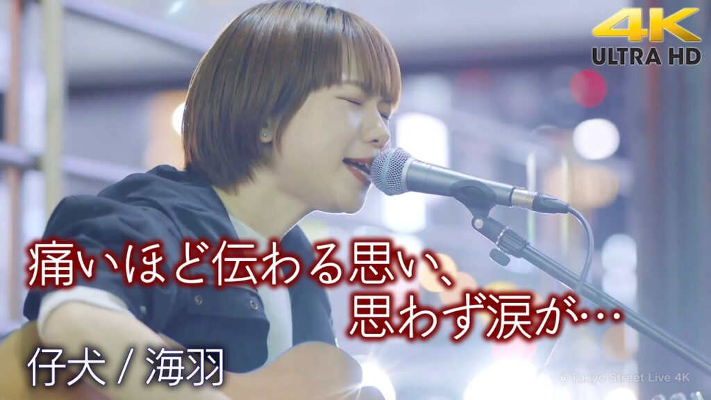【 歌うま 】痛いほど伝わる思い、思わず涙が…　  " 海羽 " オリジナル曲「 仔犬  」🎧推奨 高音質 4K映像