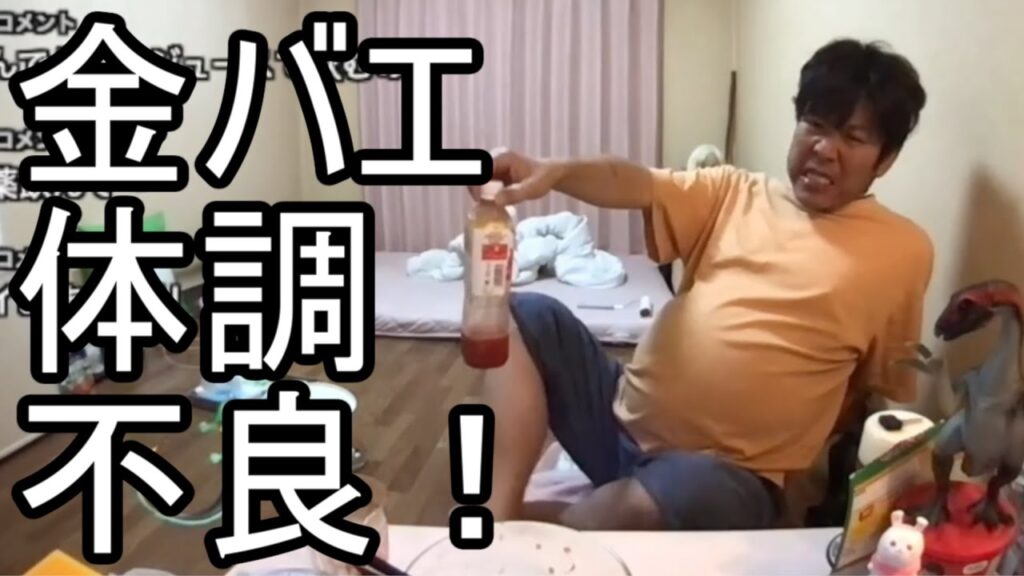 【金バエ】体調が悪い事を語る【肝不全 余命半年】 2023/11/21