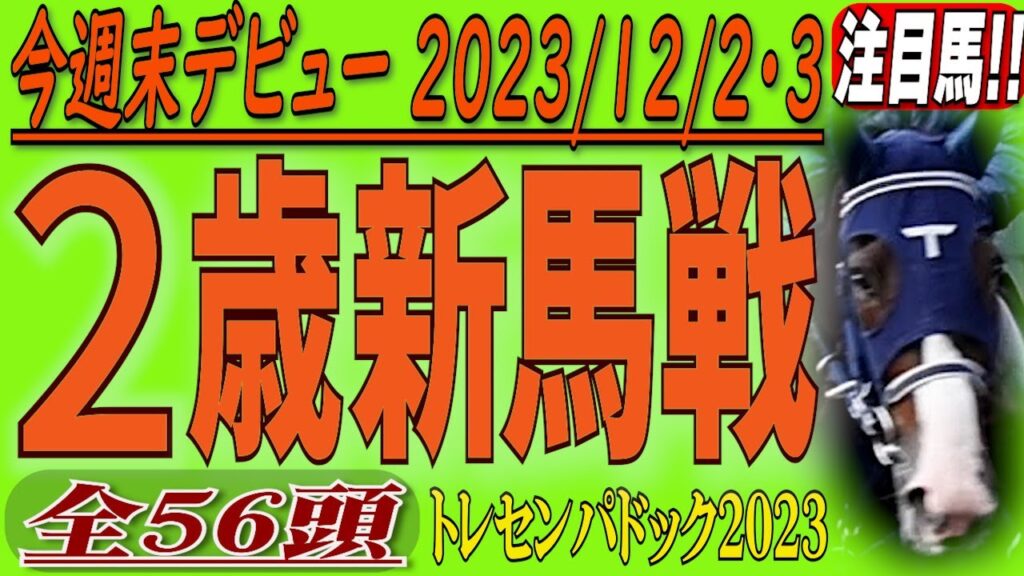 今週末2歳新馬戦の注目馬(9鞍56頭)を映像チェック ! !  2023年12月2 / 3日に実戦デビュー。馬の詳細は概要欄に。目的レースまでのチャプターも👇に。トレセンパドック2023