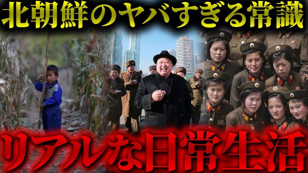 【総集編】全てが地獄…北朝鮮のリアルな日常生活とは？【作業用/睡眠用】