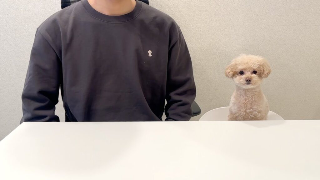 ご報告があります。 ご報告があります。