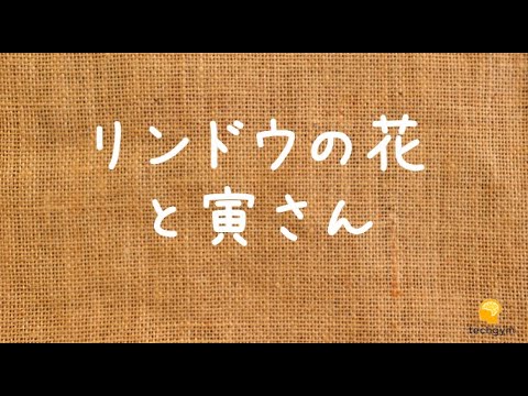 【池内淳子】寅さん、はじめてのチャンス「男はつらいよ 寅次郎恋歌(第8作)」 【池内淳子】寅さん、はじめてのチャンス「男はつらいよ 寅次郎恋歌(第8作)」