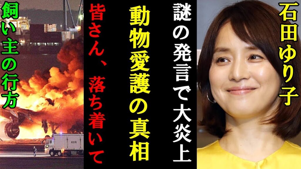 石田ゆり子さん飛行機接触事故後の突然の発言により言い訳大炎上で地雷を踏んだ真相or現在がヤバイ。石田「ケージに入れて機内に持ち込ませて！」ネット民「そういう問題じゃねえだろ？」