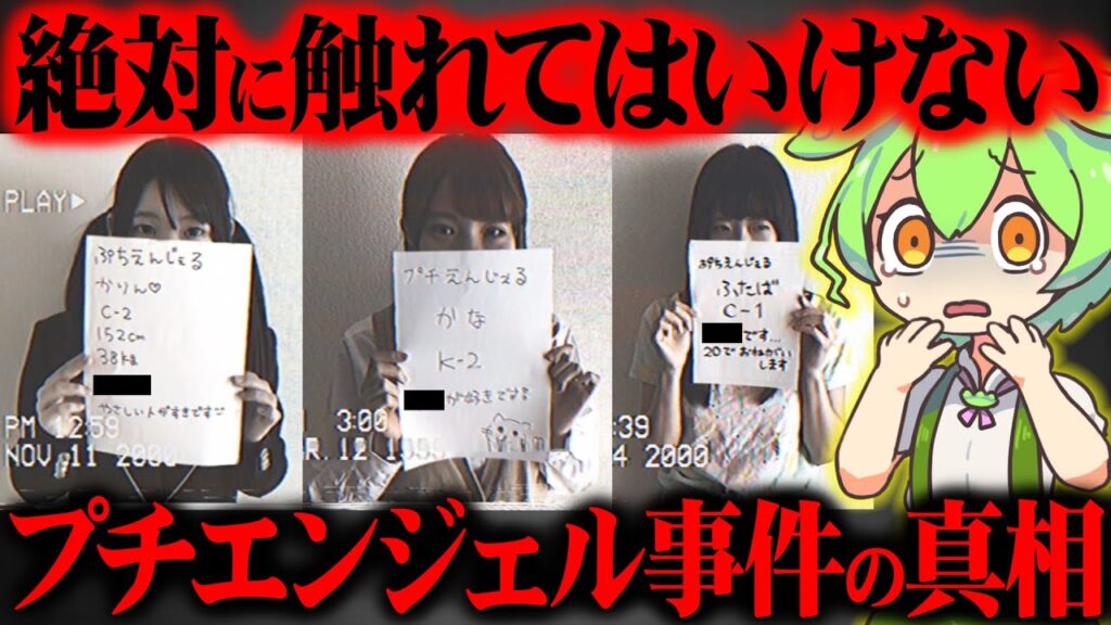 【実話】真相を知ると消されてしまう…日本一闇が深い未解決事件『プチエンジェル事件』【ずんだもん＆ゆっくり解説】