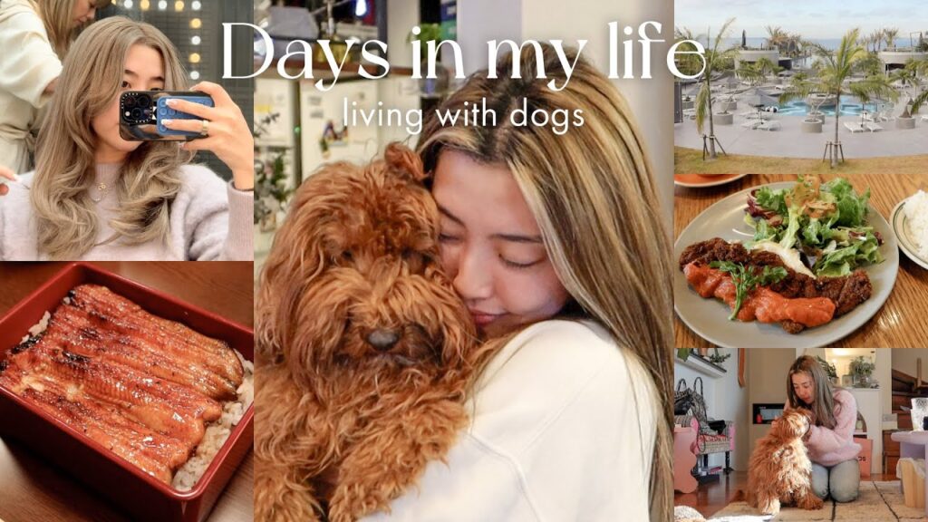 【日常vlog】ワンちゃんと過ごした日々の思い出🐶🗓️ おうち時間/ハワイお土産紹介/マツパ 【日常vlog】ワンちゃんと過ごした日々の思い出🐶🗓️ おうち時間/ハワイお土産紹介/マツパ