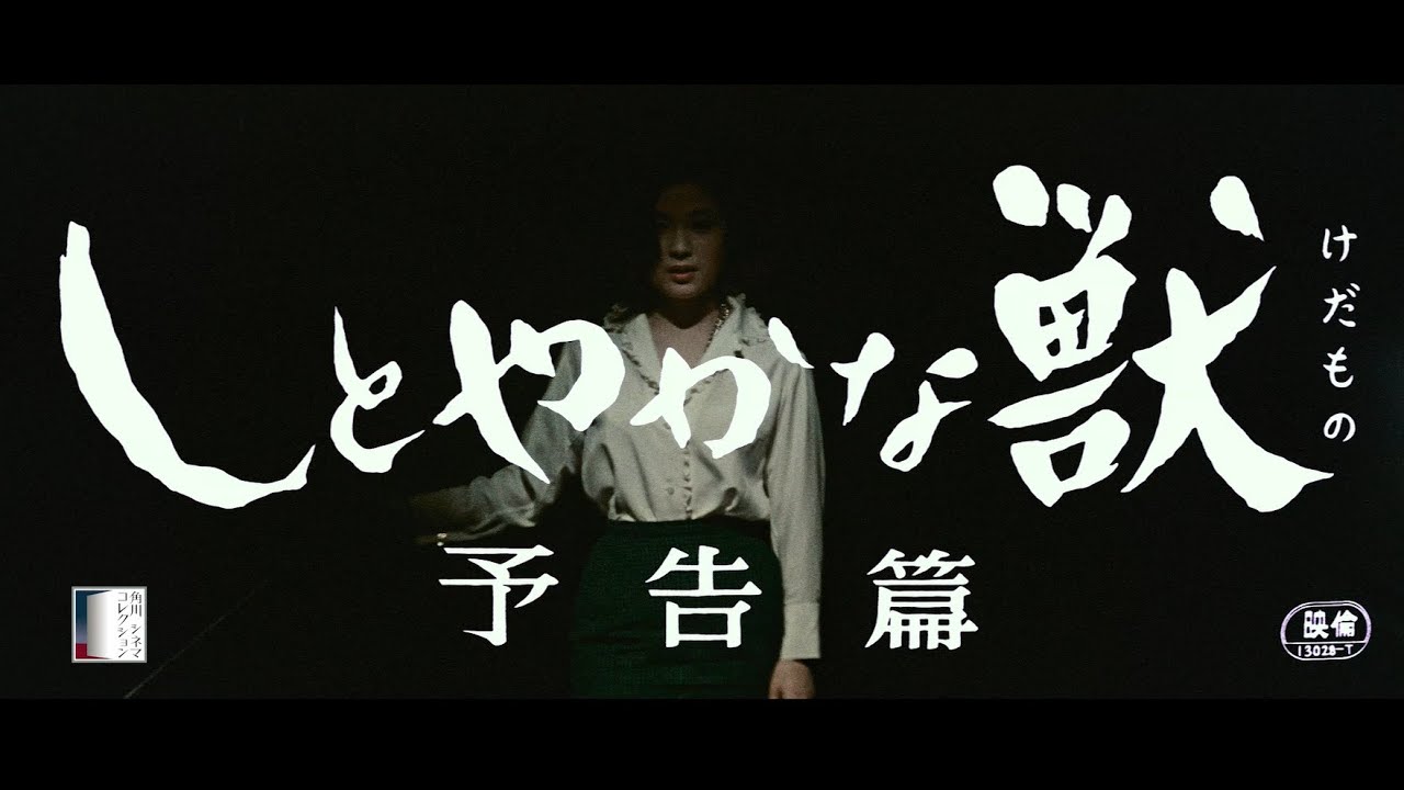 【大映4K映画祭/しとやかな獣】特別映像 - MAGMOE