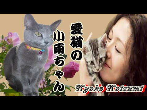 小泉今日子が最後を見送ってから泣いてばかりの日々が苦しかった。 #悲しい別れ #小泉今日子の涙