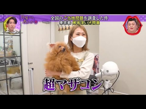 『月曜から夜ふかし』🍄🍄🍄「超マザコン」 『月曜から夜ふかし』🍄🍄🍄「超マザコン」