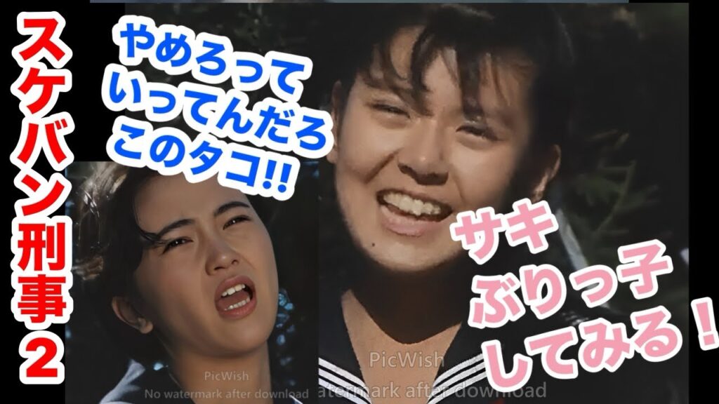 スケバン刑事2 サキのぶりっ子 南野陽子 相楽晴子 さよならのめまい