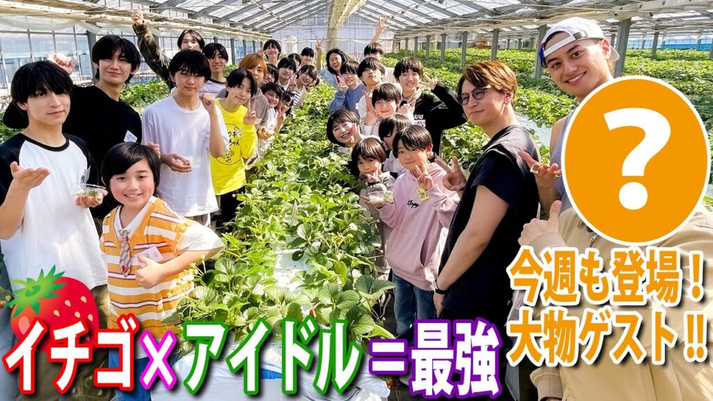 関西ジュニア【キラキラ先輩アイドルとイチゴ狩り🍓】これが正解のイチゴ狩りリポート 笑