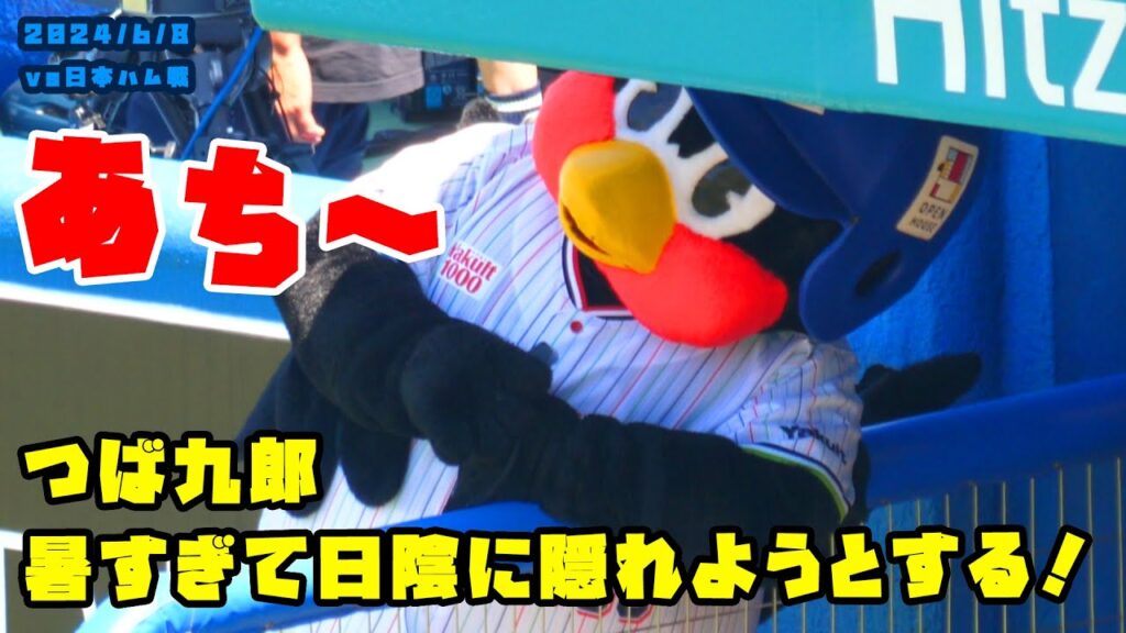 つば九郎　デーゲーム暑すぎて何とか日陰に隠れようとする！　2024/6/8 vs日本ハム