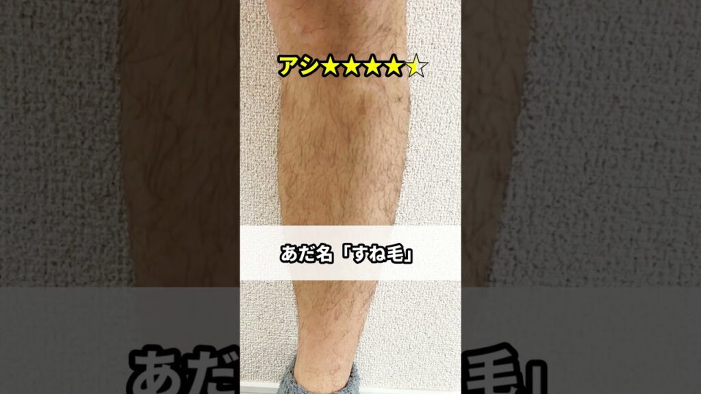 【レビュー】脱毛器ケノン365日使ってみた結果をガチレビュー #脱毛 #脱毛器 #家庭用脱毛器