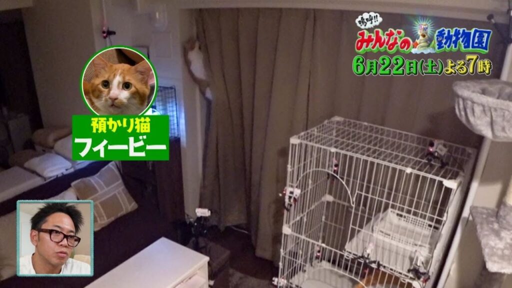 「嗚呼!!みんなの動物園」6月22日土曜よる7時から放送！りんごちゃん家のフィービーが譲渡会前に大暴れ。赤井家の保護犬ひつじの預かり生活はひつじがかずくんに急接近で急成長！