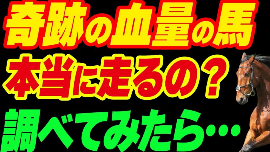 【奇跡の血量】の馬って本当に走るの?調べてみたら… 【奇跡の血量】の馬って本当に走るの?調べてみたら…