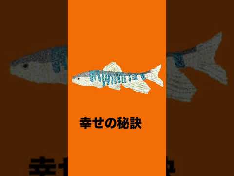 今週の名言　その21 [知るだけで優しい人になれる名言]