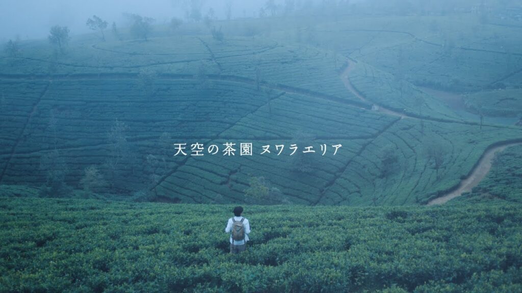 キリン 午後の紅茶　「天空の茶園」篇　30秒