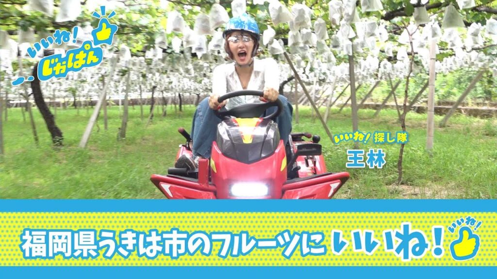 本編　いいね！じゃぱん【福岡県うきは市　フルーツ】 | ＢＳテレ東