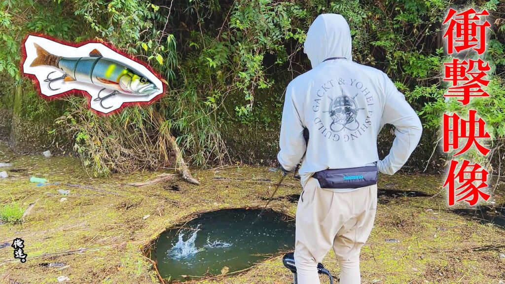 GACKT様が足元で８の字すると…