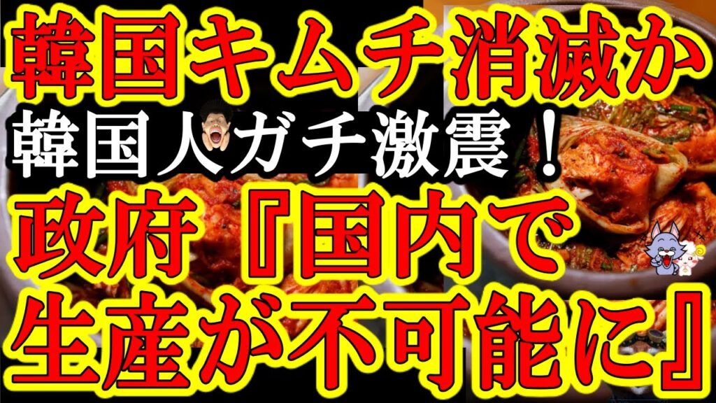 【韓国ガチ激震！なんと韓国内でキムチ製造が不可能に！原材料キャベツの生産面積が8700ha→44haに大激減か！『消える！俺達韓国人が消えてしまう！』】しかも中国とのキムチ起源論争も韓国劣勢！あかーん
