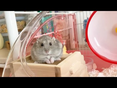 おでかけ前の腹ごしらえ