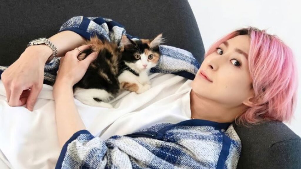 Snow Man佐久間大介の背中に愛猫が乗っかった癒しショットが公開!佐久間による愛猫2匹の深夜の大運動会実況も Snow Man佐久間大介の背中に愛猫が乗っかった癒しショットが公開!佐久間による愛猫2匹の深夜の大運動会実況も