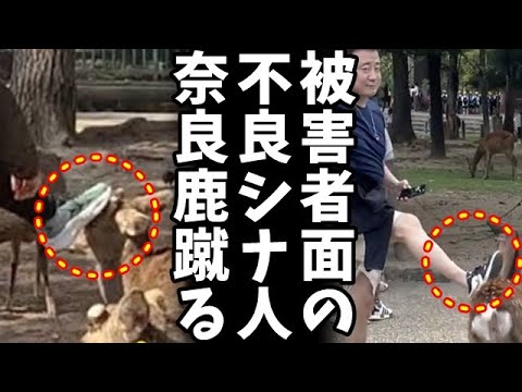 奈良の鹿への暴行で中国人観光客が釈明！へずまりゅうの鹿パトロールに批判殺到、ネットで議論が過熱！