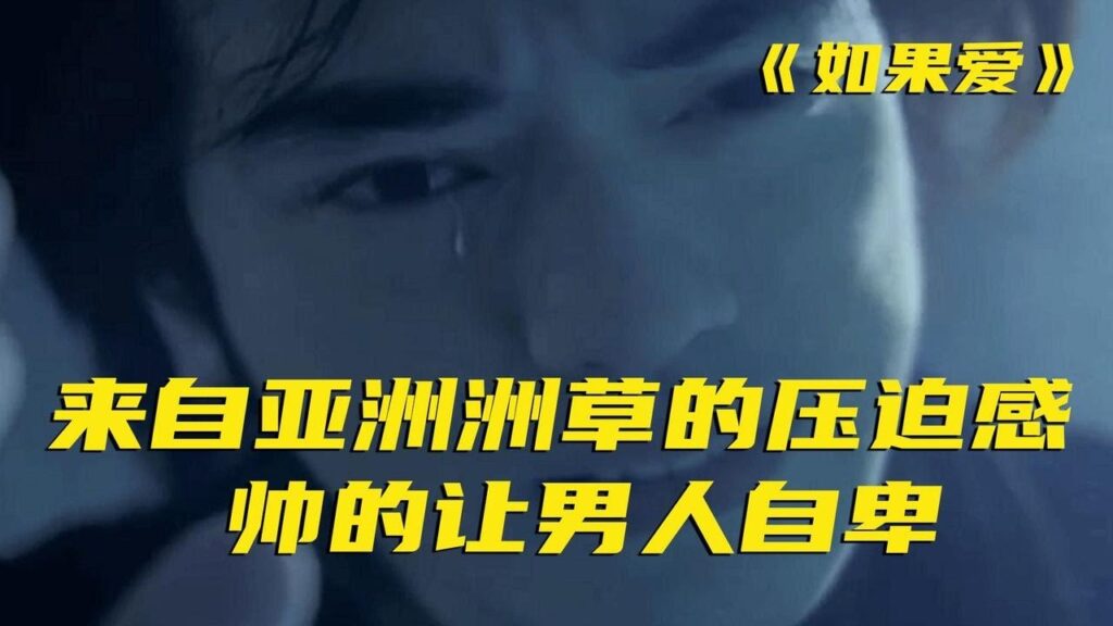 金城武加张学友加舒淇，这种片子不用看剧情，也很难让人不爱