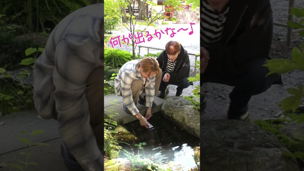 【西武鉄道】GENE高秩父旅！サクッとラビューで秩父まで！